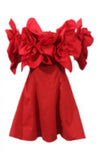 Sierra Darien dress
