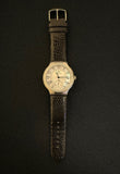 Philip Stein watch
