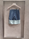 The North Face shorts