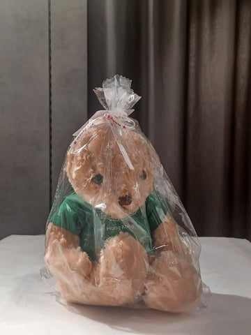 Aston Martin bear