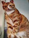 Folli Follie necklace